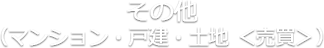 その他（マンション・戸建・土地 ＜売買＞）